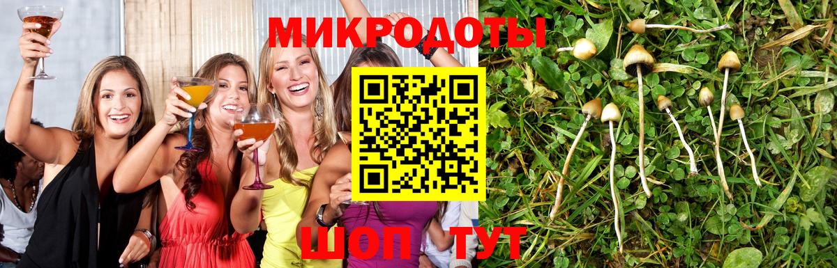 Псилоцибиновые грибы Magic Shrooms Электрогорск