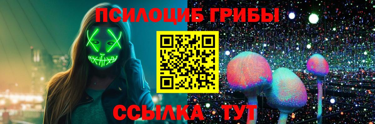 Электрогорск  Галлюциногенные грибы Magic Shrooms  Вход с VPN 